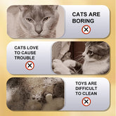 Interactive Cat Toys Ball with Simulate Bird Sounds